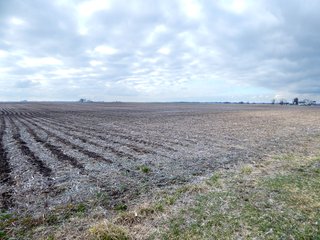 Property photo 2 - MAJOR LAND AUCTION - 313+/- ACRES OFFERED IN 7 TRACTS IN IROQUOIS COUNTY, ILLINOIS